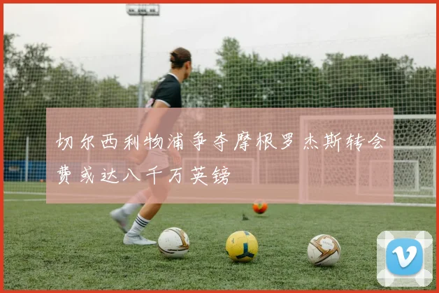 切尔西利物浦争夺摩根罗杰斯转会费或达八千万英镑