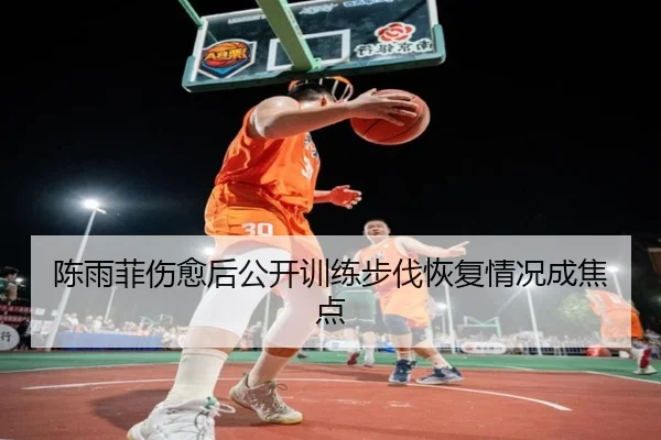 陈雨菲伤愈后公开训练步伐恢复情况成焦点