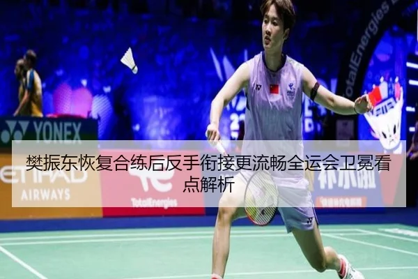 樊振东恢复合练后反手衔接更流畅全运会卫冕看点解析
