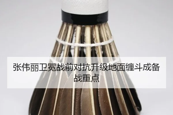 张伟丽卫冕战前对抗升级地面缠斗成备战重点